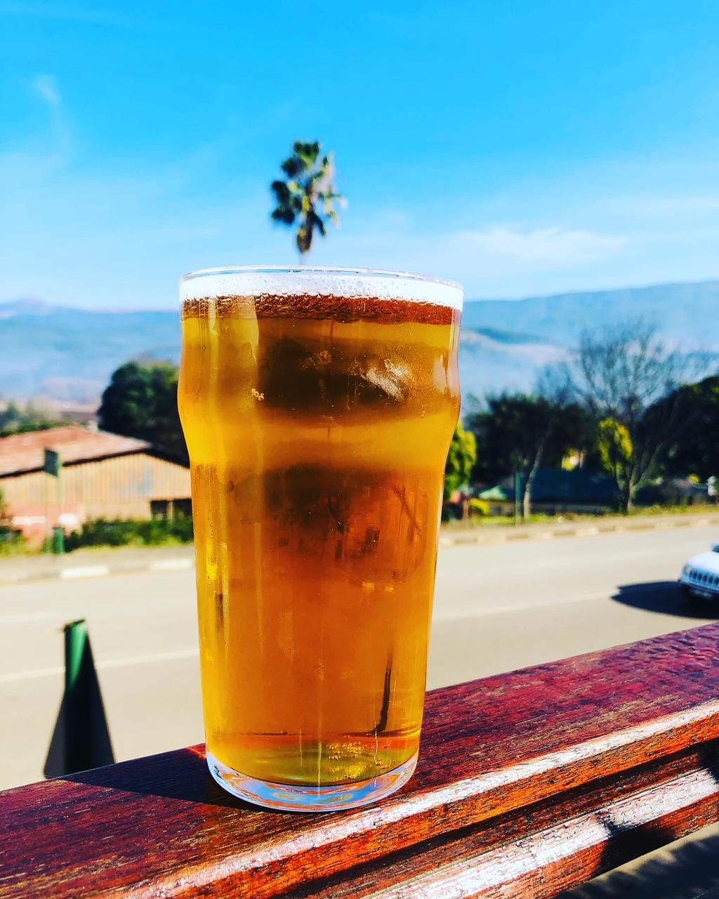 364159578_788021356444602_4059631903038757659_n